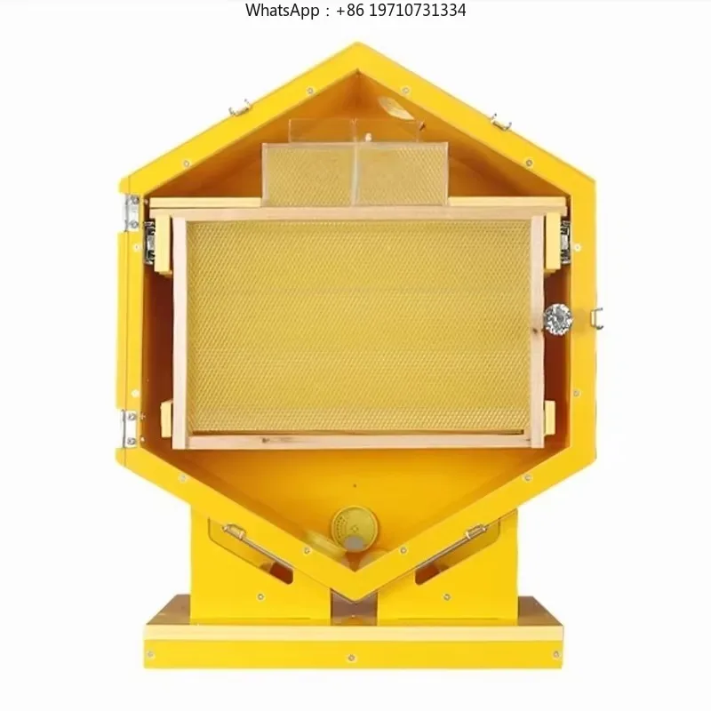 Hexagonal Indoor Observation Wall Mounted Beehive Indoor Beekeeping Ornamental Beehive 3-Frame