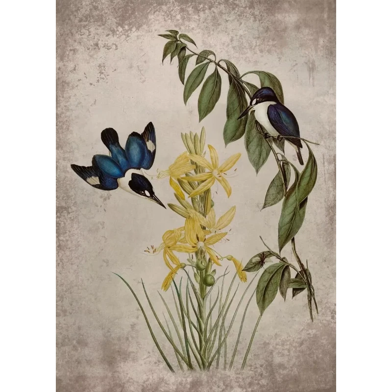 2026 Vintage Toucan Peacock Bicheno Parakeet Canvas Painting Bird Bees and Rose Flower Posters Prints Wall Art Picture Home Dec
