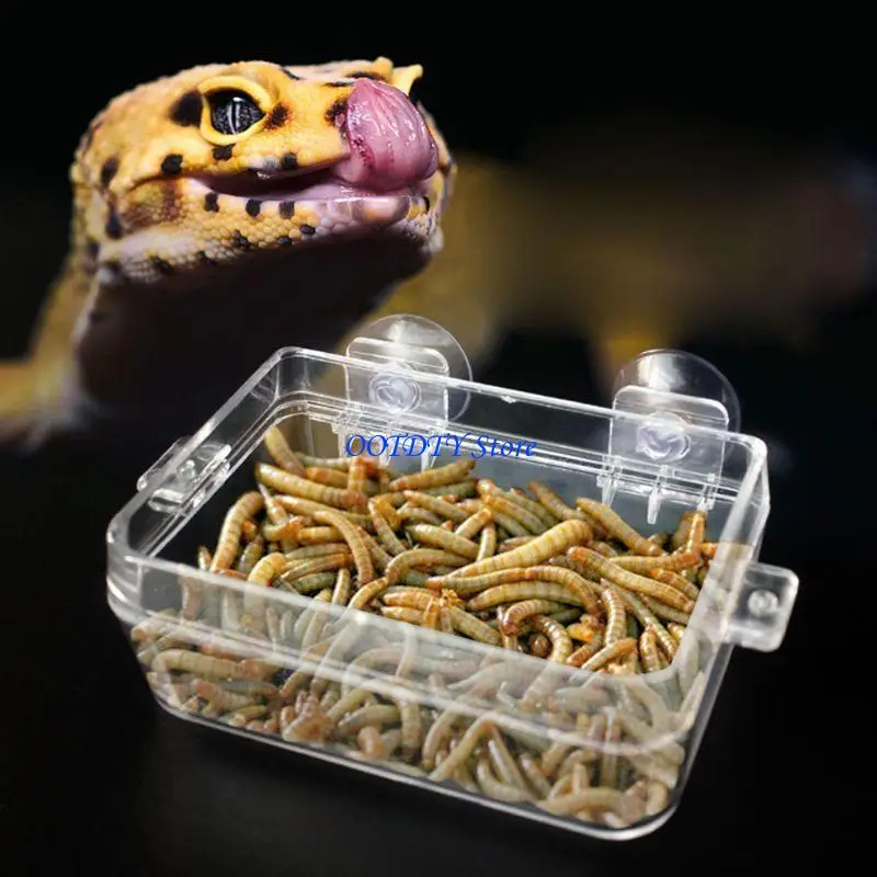 367A Suction Cup Feeder Anti-Escape Reptiles Water Bowl Worm Live Fodder Container for Gecko Snakes Iguanas