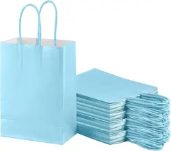 Small Plain Natural Paper Kraft Gift Bags with Handles Light Blue Paper Bags for Birthday Party