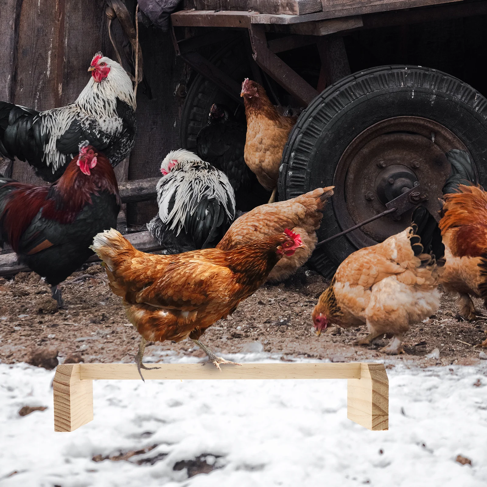 

2pcs Parrot Stand Rack Wood Bird Perch For Chick Chicken Rooster Budgies Lovebirds Conures Pet Cage Accessories Training