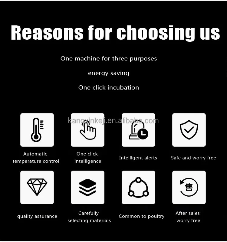 

Промышленные инкубаторы большой вместимости для выведения птенцов: 24, 20000, 2000, 200, 1056 яиц курицы, 300 яиц попугая, гуся. Горячие продажи с завода.