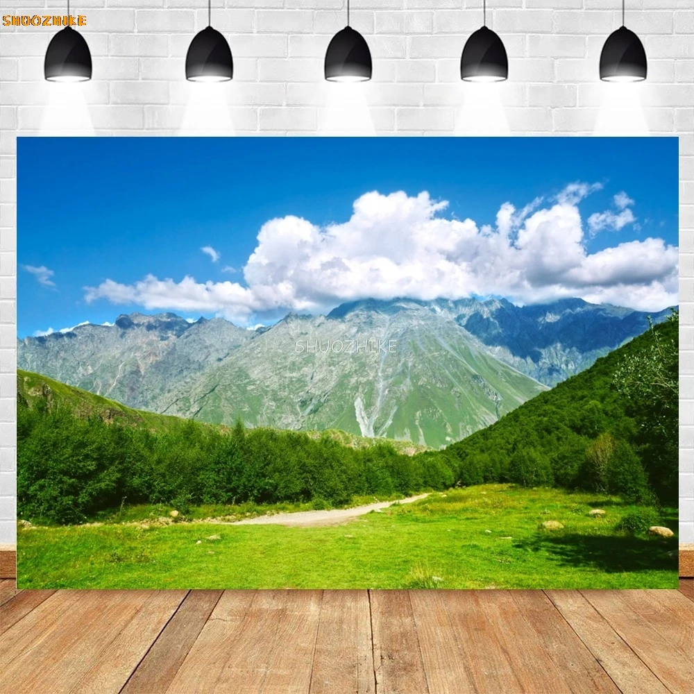 خلفية تصوير ربيعية، عشب الغابات الخضراء، حديقة الحديقة، المناظر الطبيعية، ديكور العطلات، خلفية التصوير الفوتوغرافي، استوديو الصور