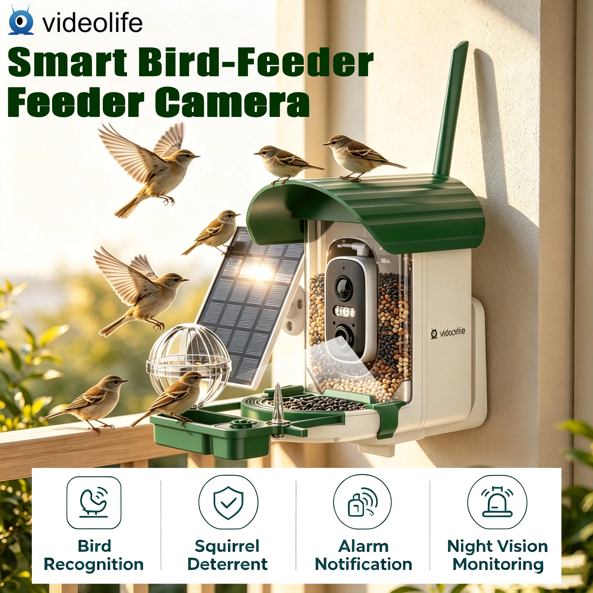 Videolife, mangiatoia intelligente per uccelli con telecamera, alimentazione solare, riconoscimento automatico degli uccelli tramite intelligenza artificiale, funzione di sorveglianza per