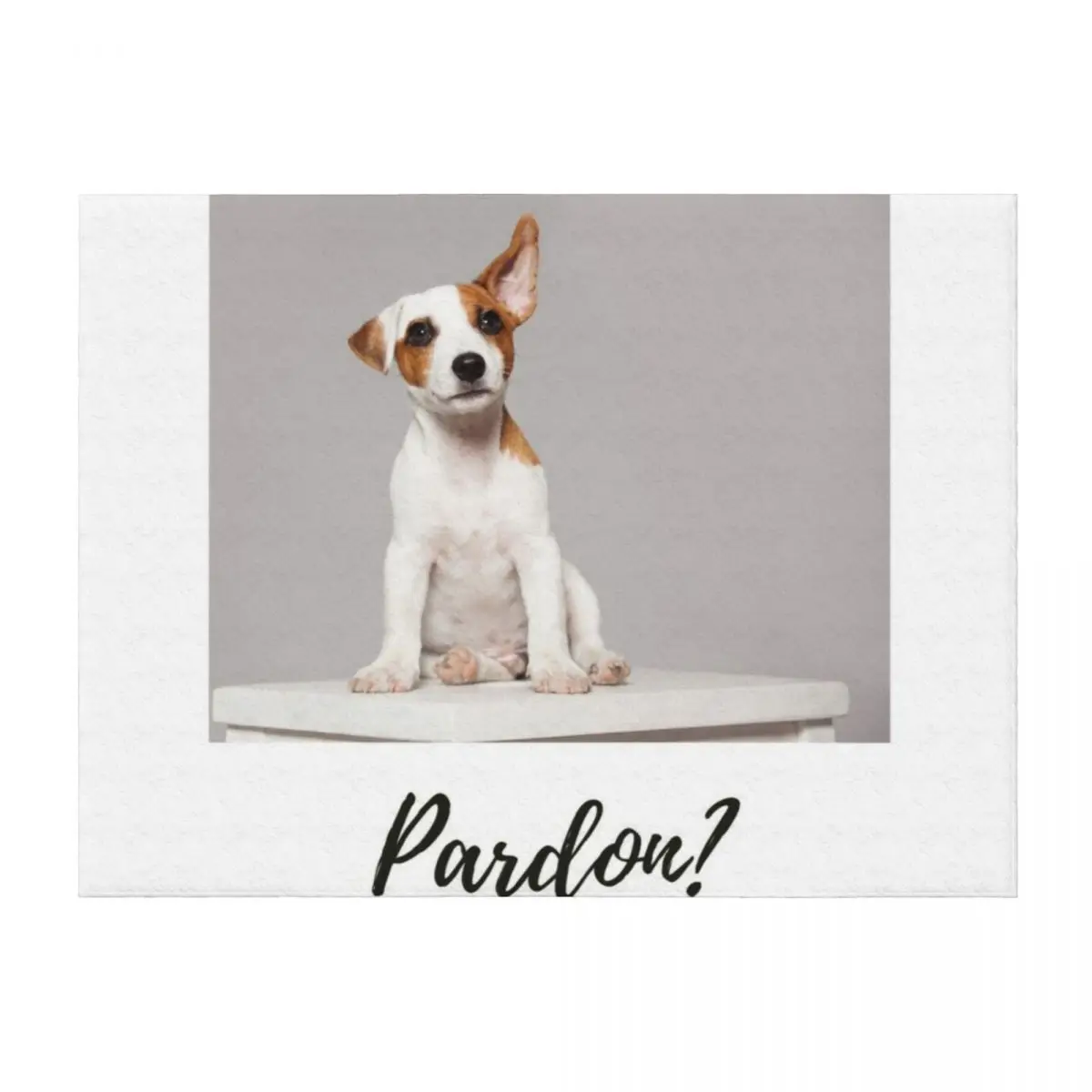 

Pardon Jack Russell Terrier puppy. Sitting. One ear folded over, the other pointed upwards Throw Blanket Soft Blankets