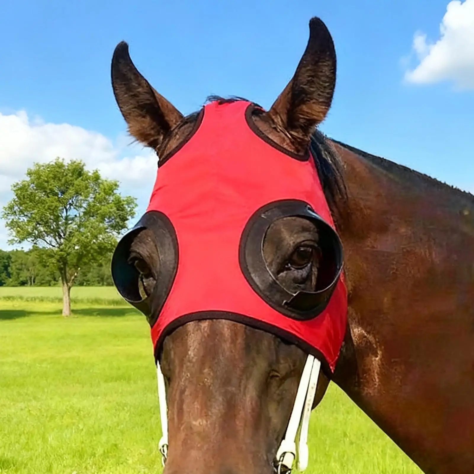 Horse Blinkers with Breathable Mesh Anti Sand Shield for Eyes, Equestrian Training & Competition Blinders for Riding, Racing