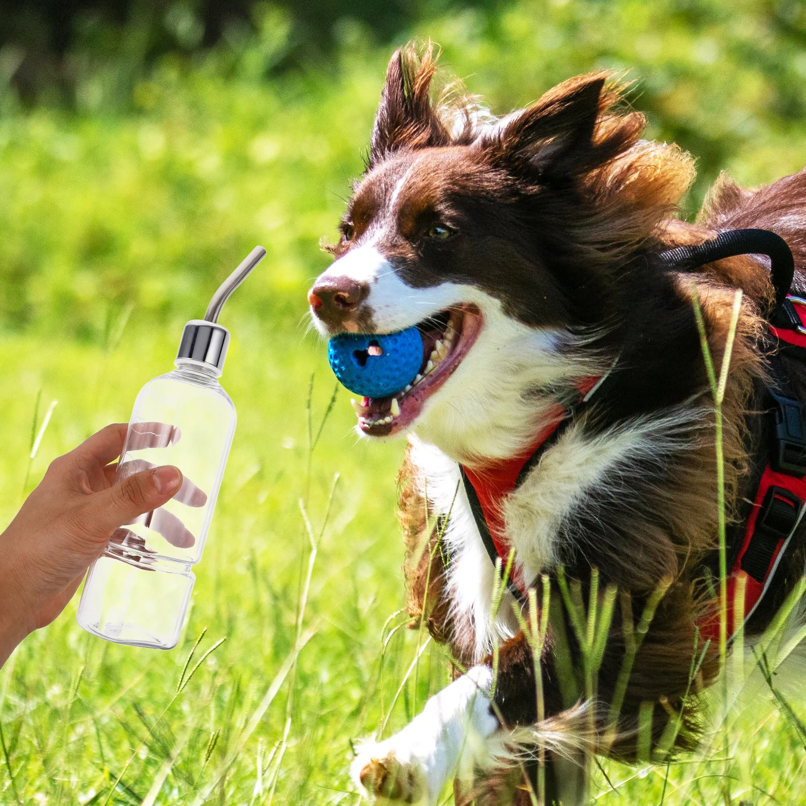

Pet Water Fountain Feeder Hamster Bottle Drinking Small Leak Proof Bottles Cage
