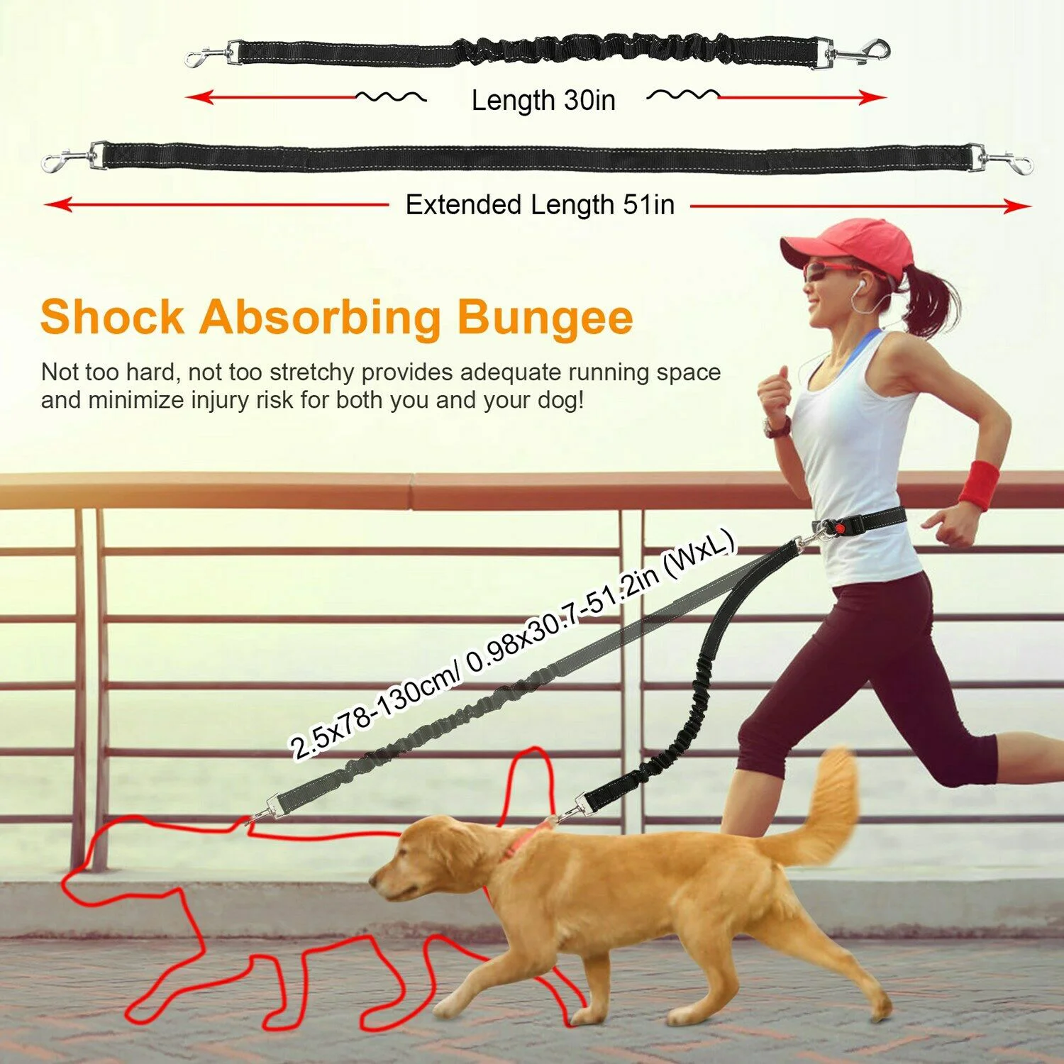 Dog Leashdogs Running Belt Hands Walking Puppy Cat Hiking Large Training Small Rope Leashes Medium Harness Free Canicross Waist