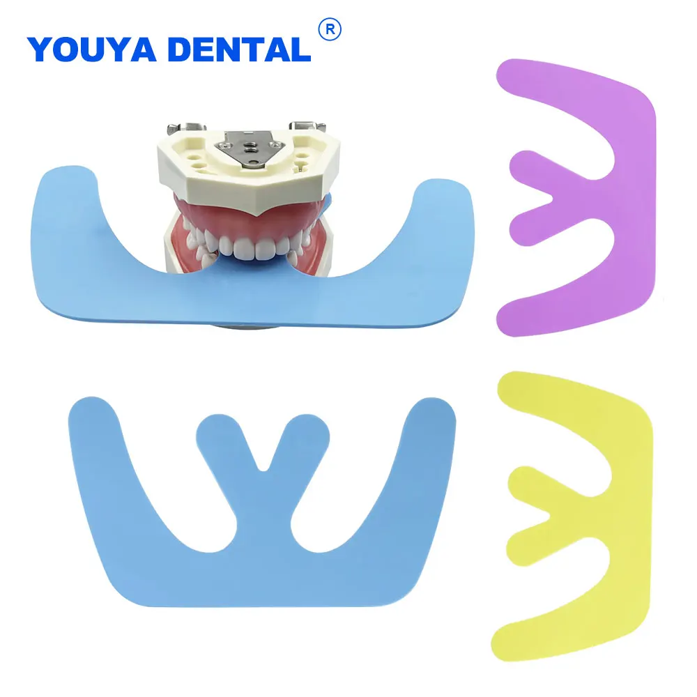 Dental Occlusal Plane Plate Mouth Guard Denture Convening Orthodontic Occlusal Maxillary Casting Jaw Fox Plane Plate Dentist