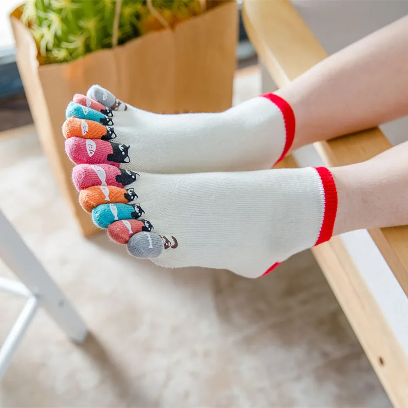 5 Pairs Toe Ankle Socks Women Cotton Cartoon Bear Fish Print Sweat-Absorbing Young Fashion 5 Finger Boat Happy Harajuku Socks