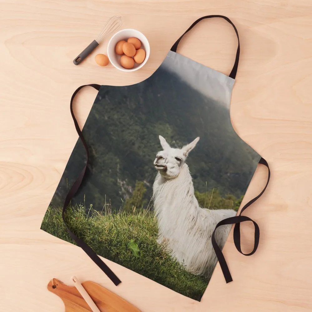 

Relaxing Llama in Mountain Landscape Apron waiter waterproof for women Kitchens For Men Kitchen Tools Apron