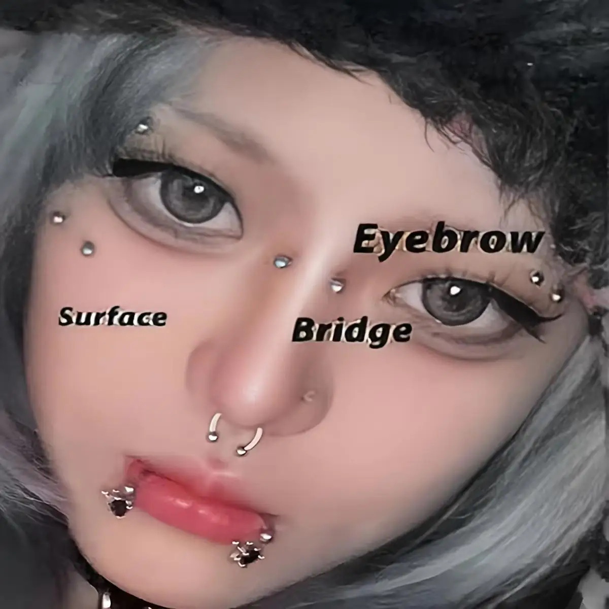 5pcs 16G Stainless Steel Eyebrow Ring Curved Barbell Piercing Labret Lip Ring for Ear Lobe Tragus Helix Rook Bridge Body Jewelry