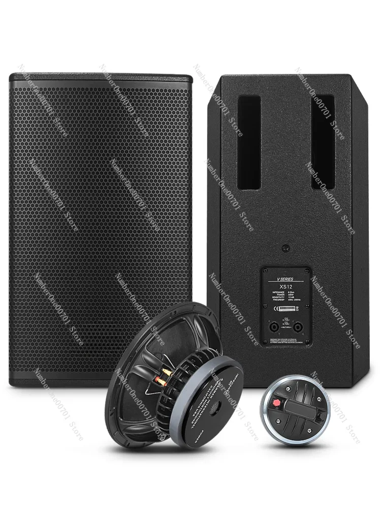 Professional Amplifier Stage Performance 12-Inch Home Karaoke Bar Private Room Conference Training Speech Band Dance Audio