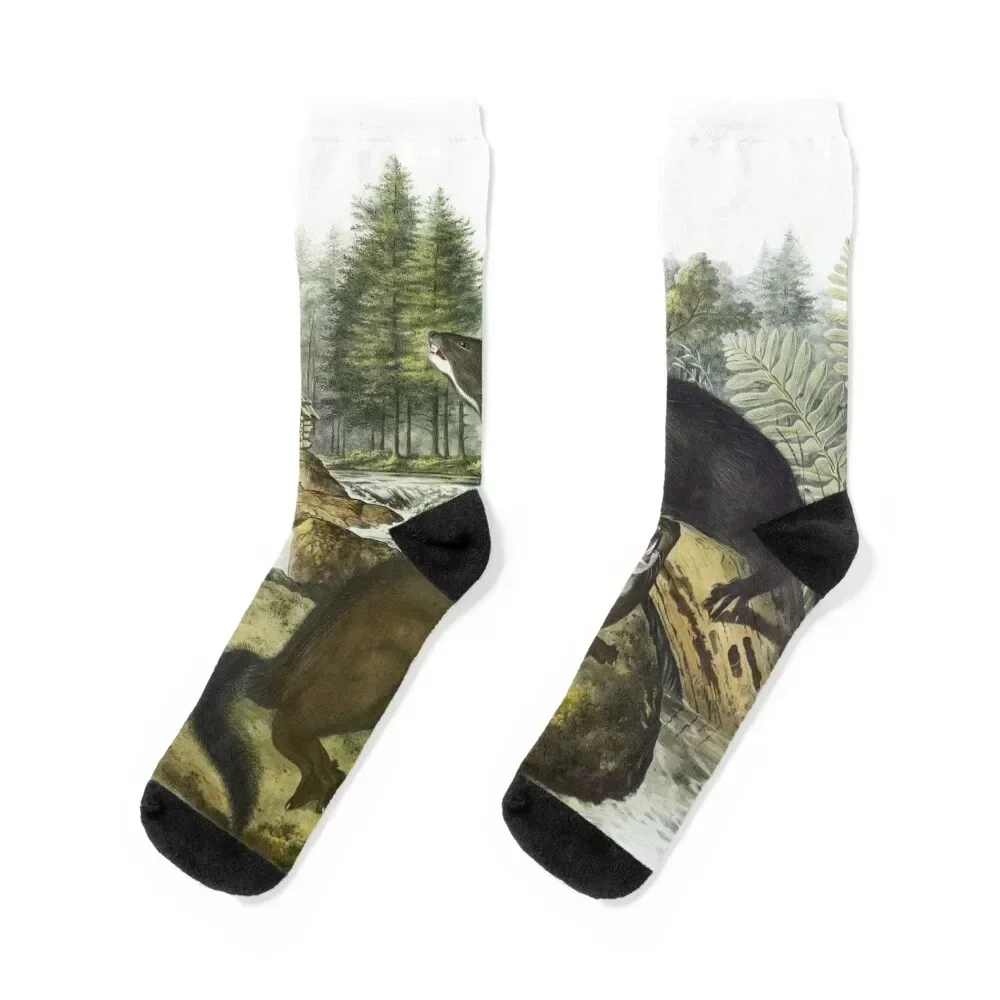Mink - James Audubon Socks new in's christmas stocking Crossfit Thermal man winter Male Socks Women's