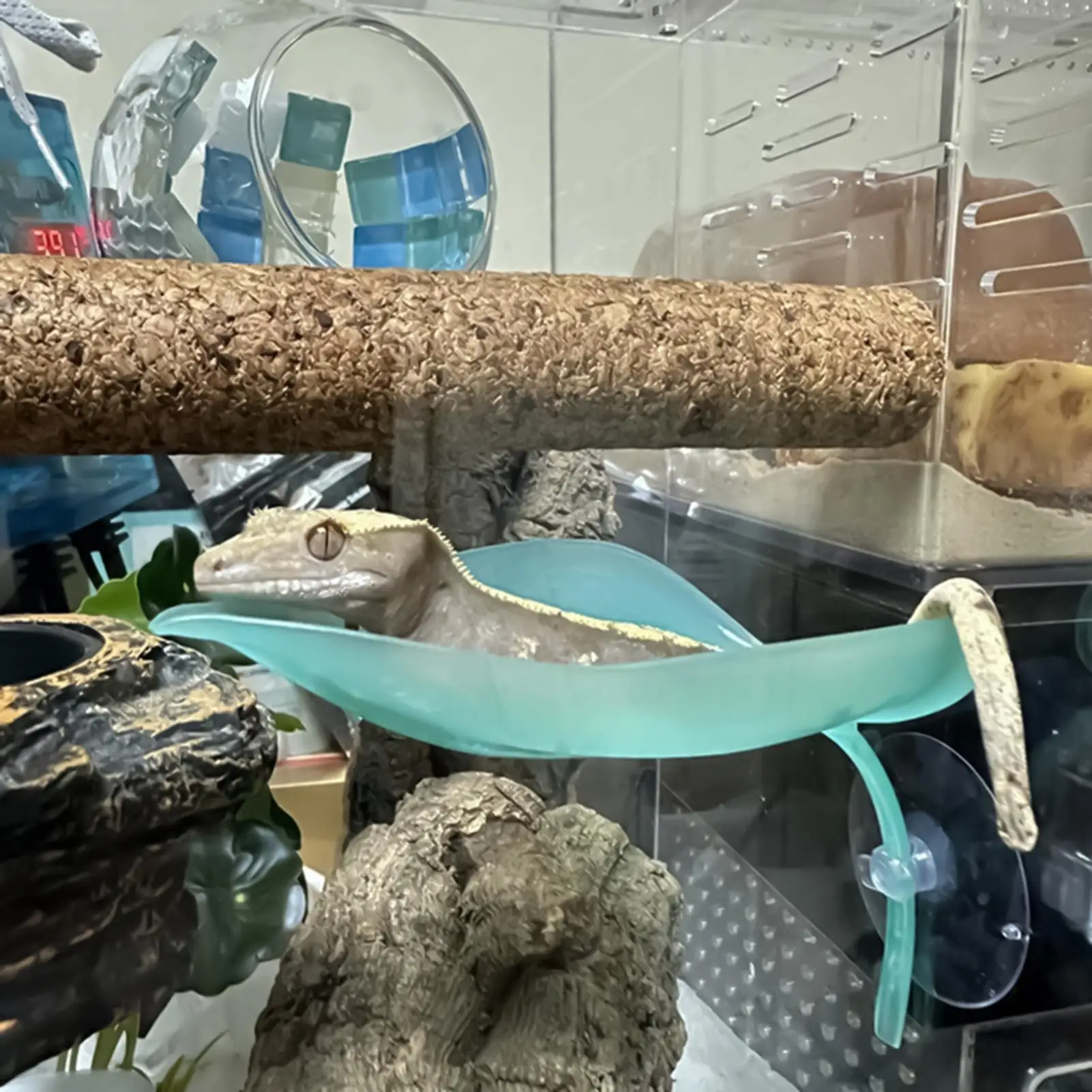 Basking Area for Turtle Tank Resting Terrace Suction Cups Leaf Shape Tank Decor for Turtles Leopard Gecko Dwarf Frogs Toads