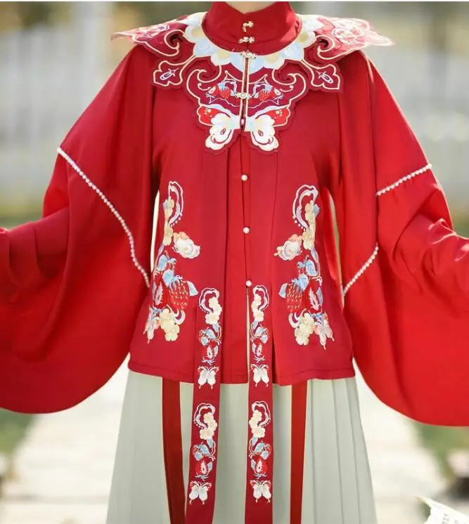 

Chinese Hanfu Detachable Collar Women Ming Dynasty Embroid Vintage