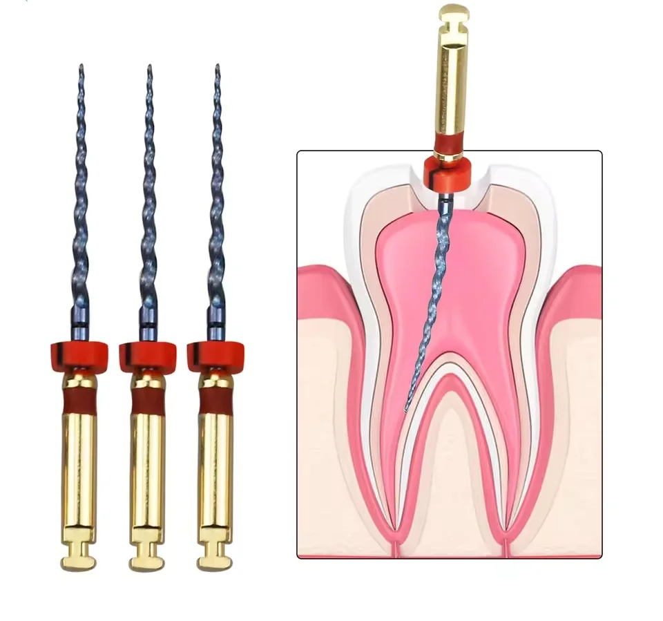

dental supplies root canal file Large Taper SX-F3 21 25MM 31MM motor tip Use Rotary Heat Activated Endodontic