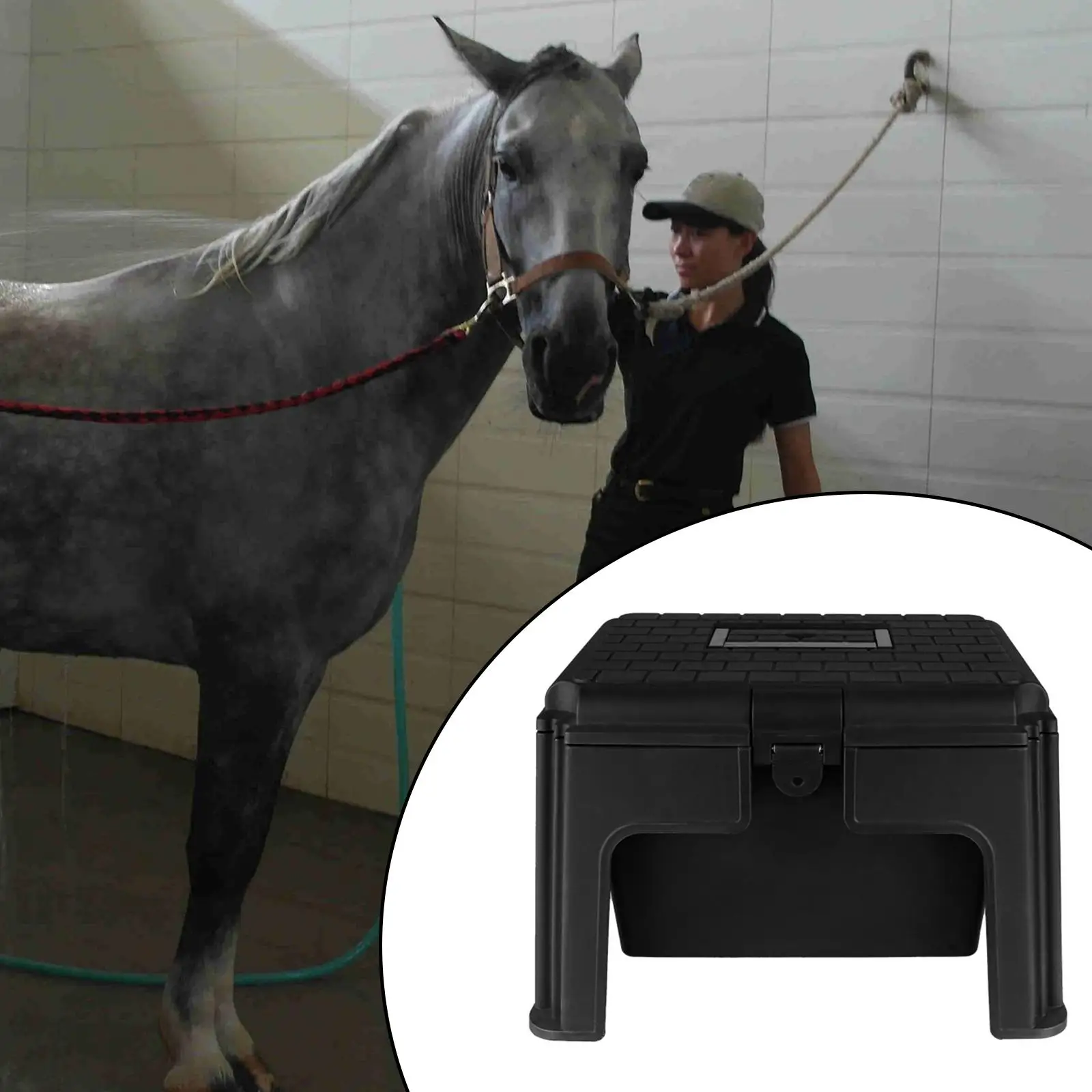

Horse Grooming Box Mounting Portable Horse Stool Horse Tack Storage Box Travel Equine Tool Organizer Horse Riding Accessories