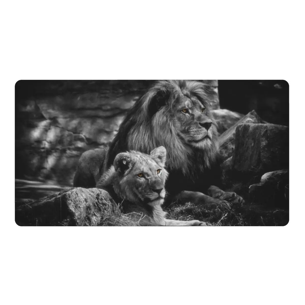 

Lion Nature Animals Wildlife PC Desk Mat Mousepad Large Gaming Fabric Computer Mouse pad