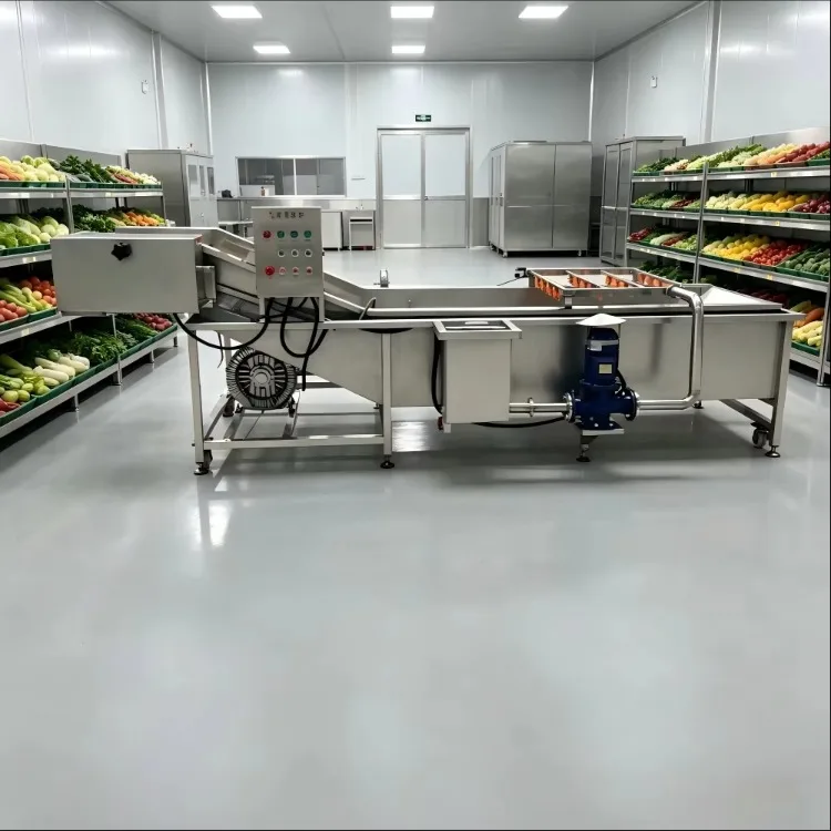 Energy Saving Bubble Washing Machine Food Grade Ozone Fruit and Vegetable Cleaning Equipment for Food Processing Factory