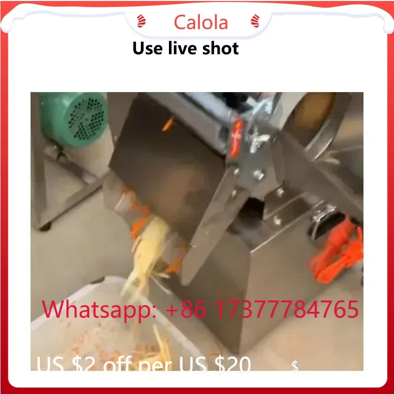 220V Electric Vegetable Slicer 300kg/h Potato Radish Sweet Potato Ginger Hawthorn Shredding Slicing Machine