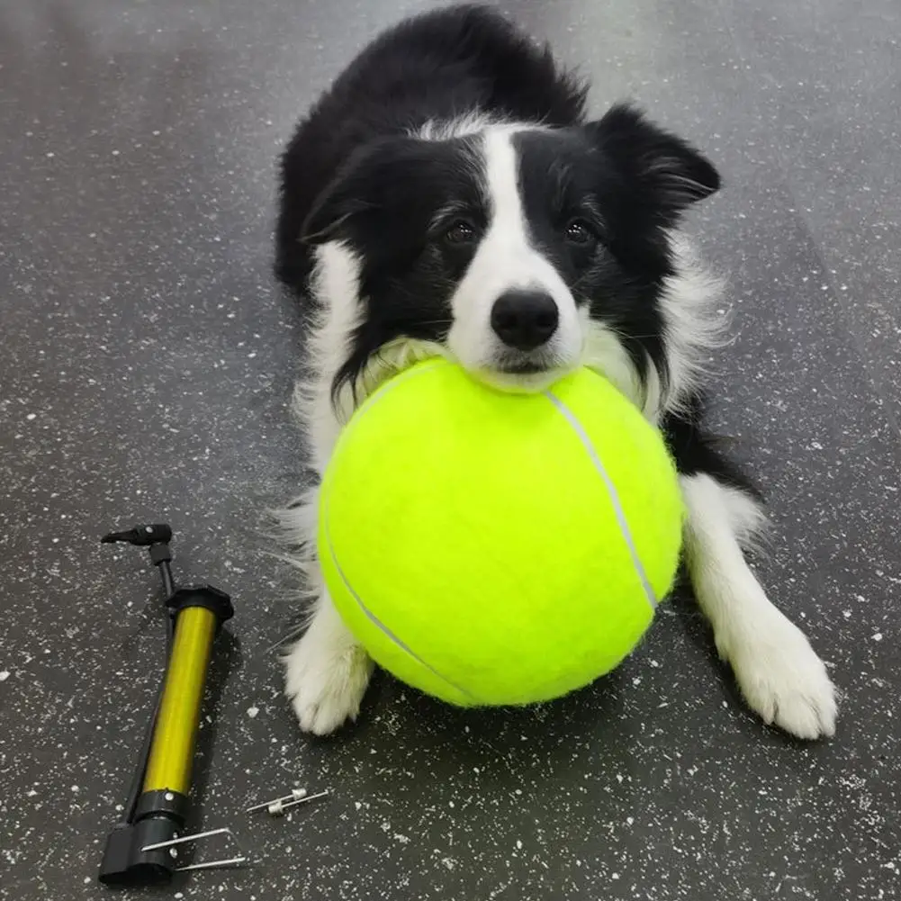 Riesiger Tennisball, aufblasbares Spielzeug für Hunde, Trainingsball, 24 cm, großer Tennisball mit Luftpumpe, interaktives Hundespielzeug
