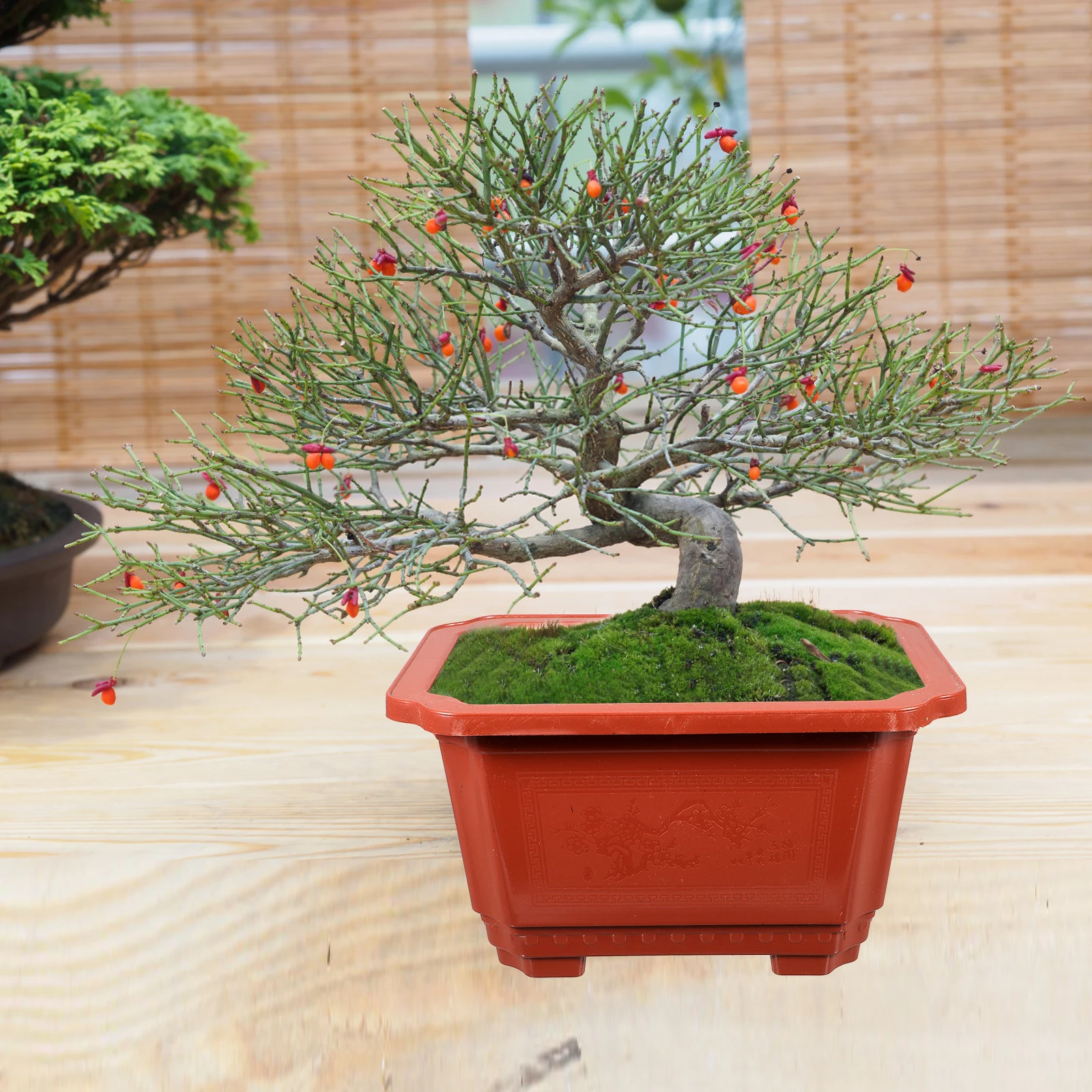 

10pcs Rectangle Planter Pots Large Plastic Bonsai Flowerpot for Plants Herbs Ferns Indoor Office Gardening Container