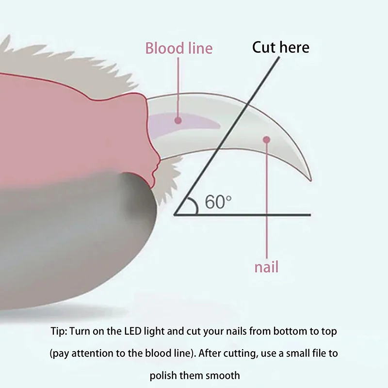 1 PC สแตนเลสสตีลสุนัขแมว Claw เล็บกรรไกรลูกสุนัข Clipper เล็บเครื่องตัด Trimmer PET Toe Grooming ผลิตภัณฑ์เล็บ Clippers