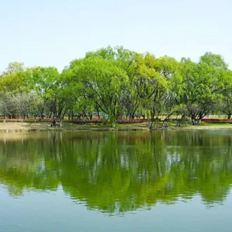 

GEPRC ELRS DUAL 915M Различный приемник 915 МГц Модуль ExpressLRS Встроенный WIFI RC Самолет FPV Дрон дальнего действия DIY Часть