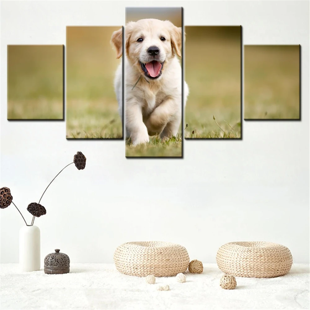 5 Pieces Canvas Wall Arts Poster Painting Golden Retriever Puppy Aburst Of Joy In Modern Home Decor For Living Room Artwork