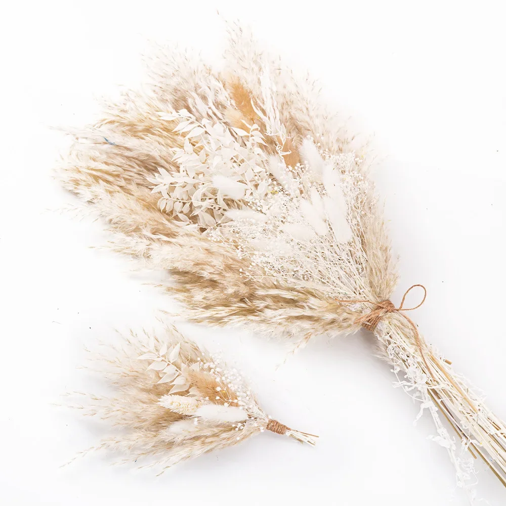 Natural Pampas Grass Plants Flowers Small Reed Wedding Arrangement Decorations Natural Dried Pampas Grass Boho Home Party Decor