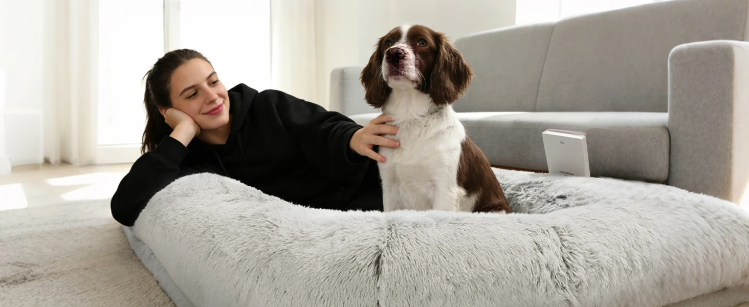 Light Grey Human Dog Bed