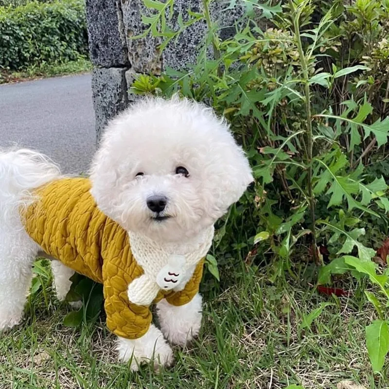 Puppy Dog Cardigan Cotton Coat Winter Pet Clothes Autumn and Winter Teddy Bibi Bear Pomeranian Schnauzer Small Dogs Cats