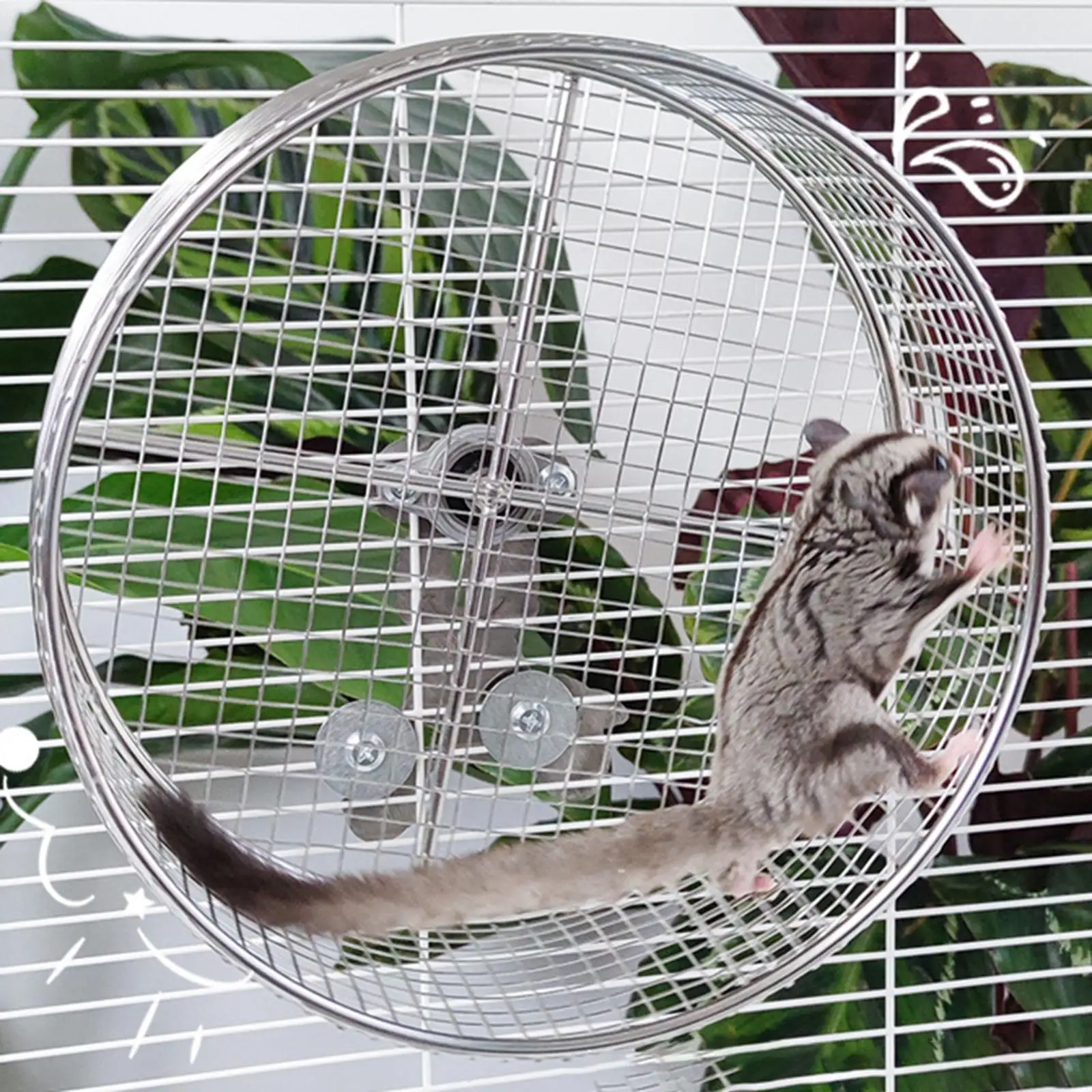 Hamster Running Exercise Wheel for Hedgehogs, Rats, Squirrel Anti Slip Activity Metal Fun to Play and Run Mute Cage Accessories