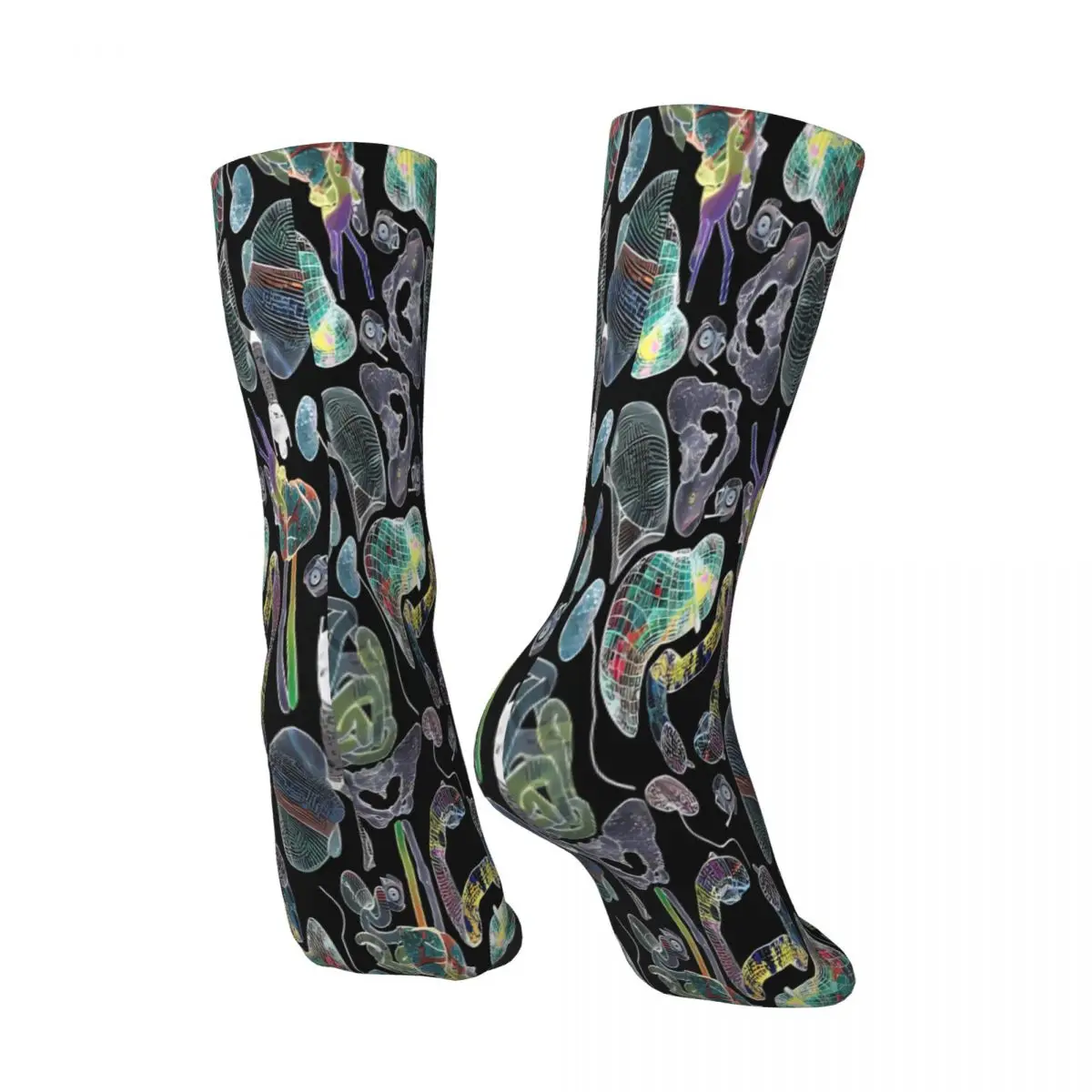 Reference Atlas Collection Human Organs Sock Socks Men Women Polyester Stockings Customizable Funny