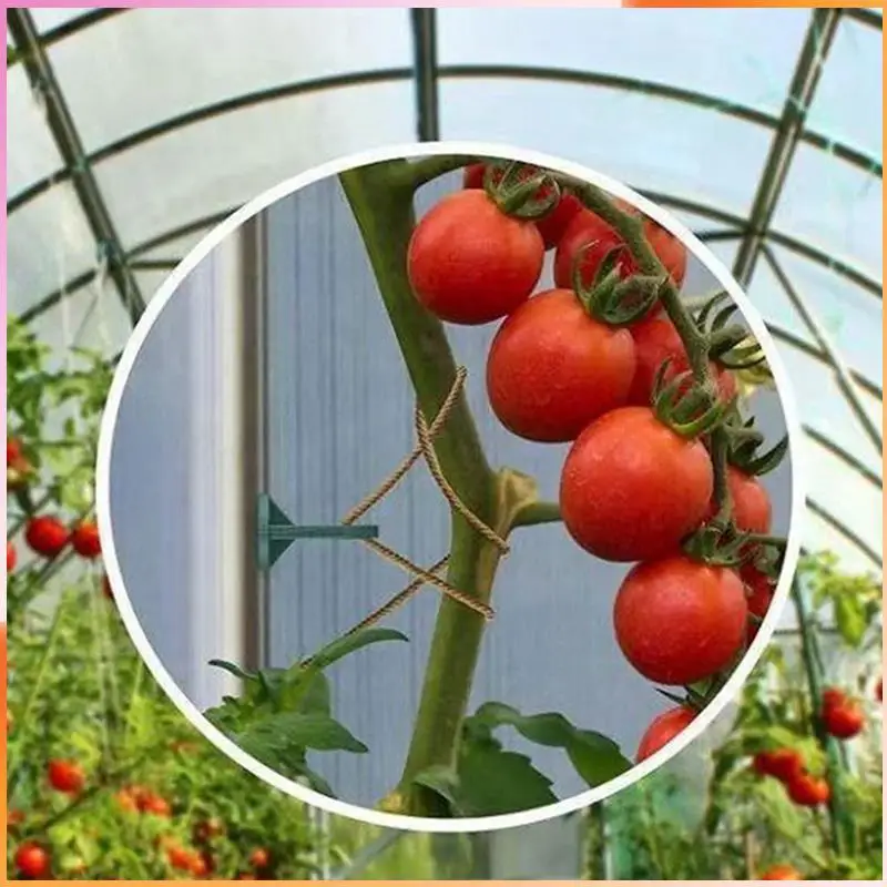 

A93Z Plastic Greenhouse Hanging Hooks Plant Flower Hanger Clips Garden Spare Parts Fastener Tied Buckle Green Pot Hanger Clip