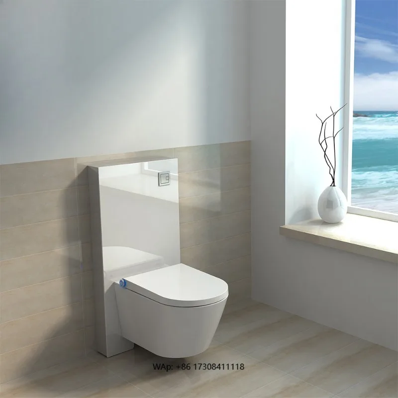 

Bathroom Floor Standing Electric Black Bidet Floor Smart Wc Toilet