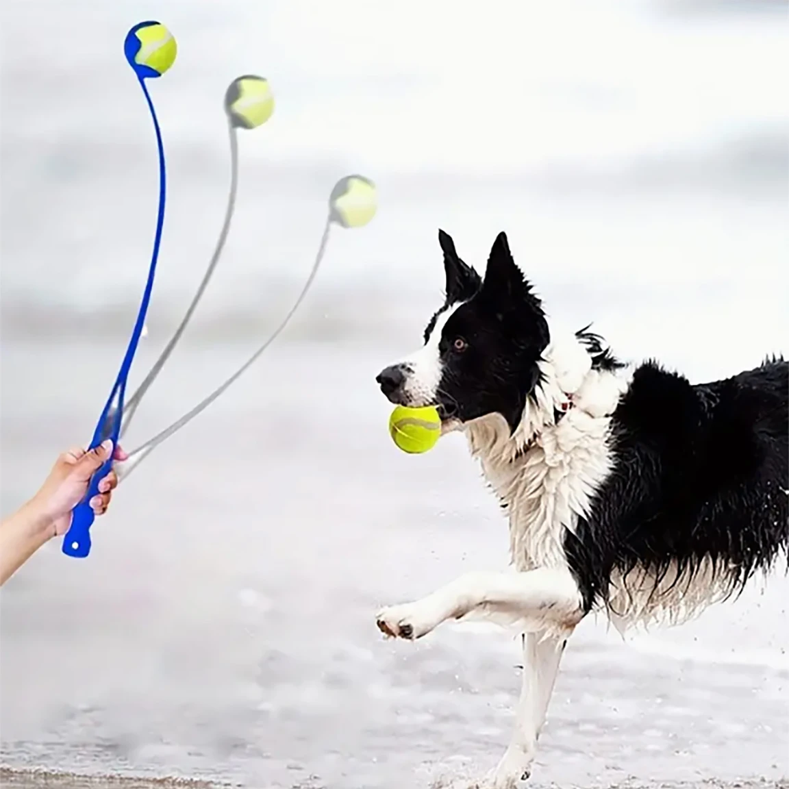 Palo de lanzamiento de pelota para mascotas, juguete de entrenamiento para perros, dispositivo de lanzamiento de pelota, adiestramiento de tenis al aire libre, divertido juguete para lanzar pelota para perros