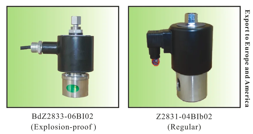 Detalhe 3 de Válvula solenoide Valve Z283 Água e vapor