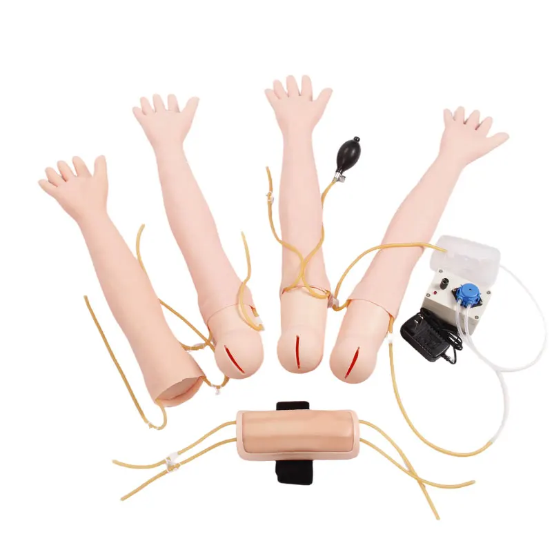 Arm Training Model for Arterial and Venous Puncture, IV Infusion, and Intramuscular Injection
