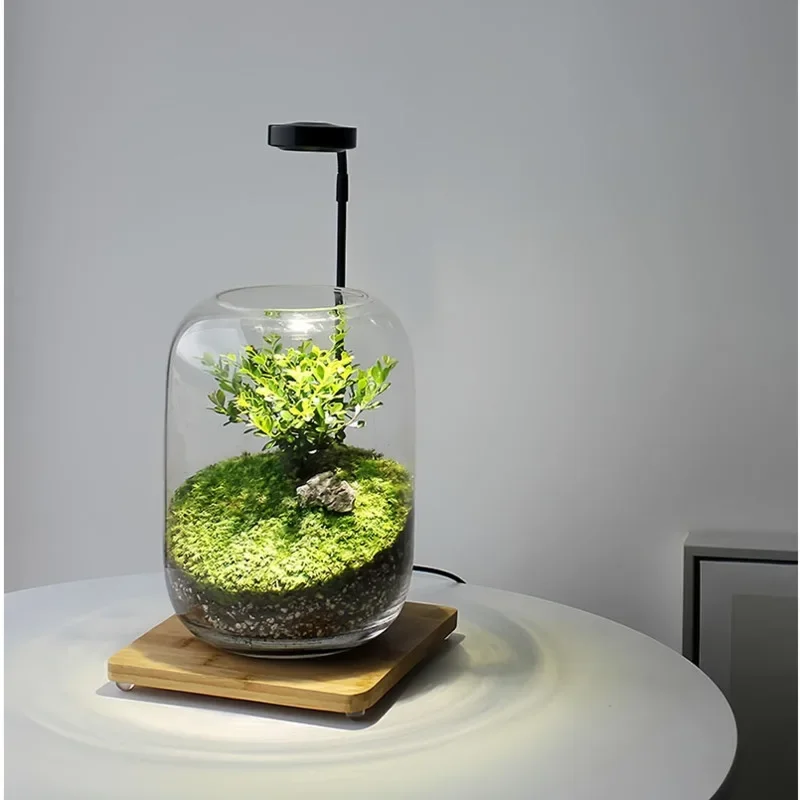 Creative Desktop Flower Pot Moss Micro Landscape Home Ornaments High Transparency Glass Plant Pot With Plant Lights Bonsai Pot