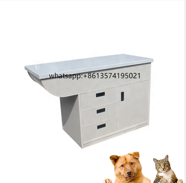 

Veterinary Instrument Dry Frame Pet Animal Examination Table for Surgical Purposes