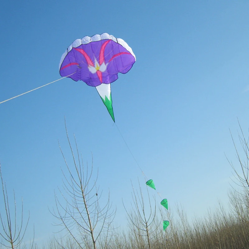 Cerf Volant Souple et Gonflable pour Enfant et Adulte, Jouet de Cerf-Volant, Ensemble Complet de Kite-Surf, Gloire du Matin, Livraison Gratuite