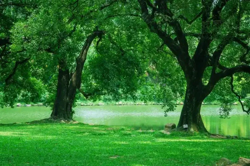 

For Benz GLC paint pen Supplies Modification Accessories Car paint scratch repair car scratch remover Paint repair set