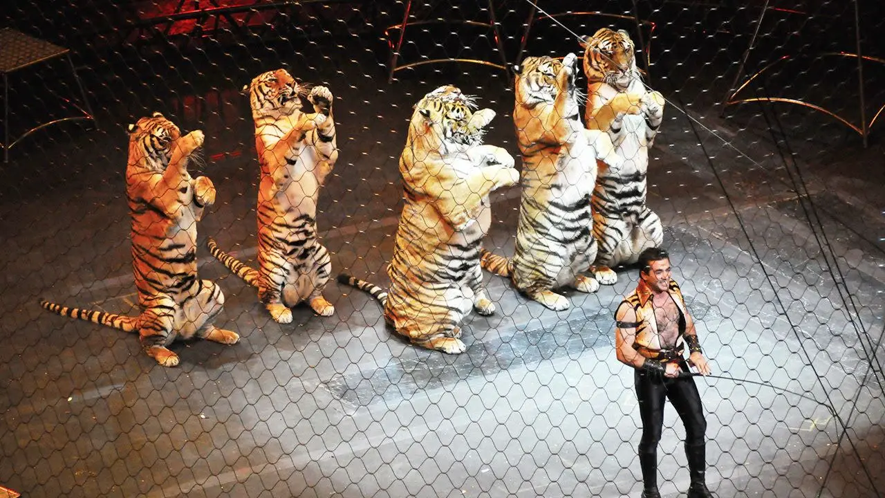 

Металлические улучшенные детали для радиоуправляемых моделей: латунные C-образные опоры передней оси для YK4106, YK4107, OP, аксессуары для краулеров, грузовиков, багги, масштаб 1/10