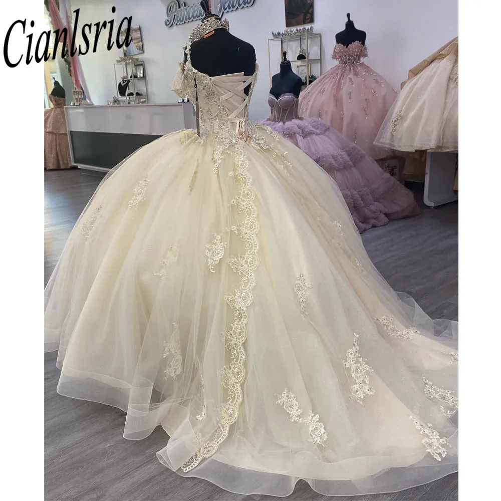 

Quinceanera Dress 2024 Off Shoulder Princess Prom Ball Gown Sweet 16 XV Years Old Miss Birthday Pageant Mexican Dress