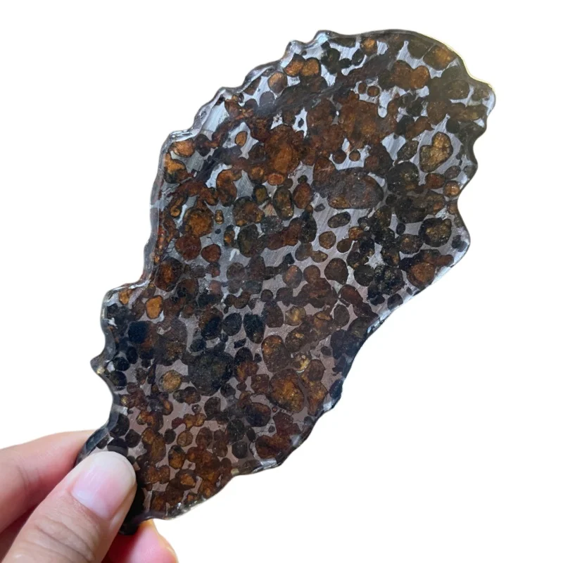 Natural Wavy Edge Sericho Pallasite Meteorite Polished Slice Kenya Olivine Mineral Specimen for CollectionQA863
