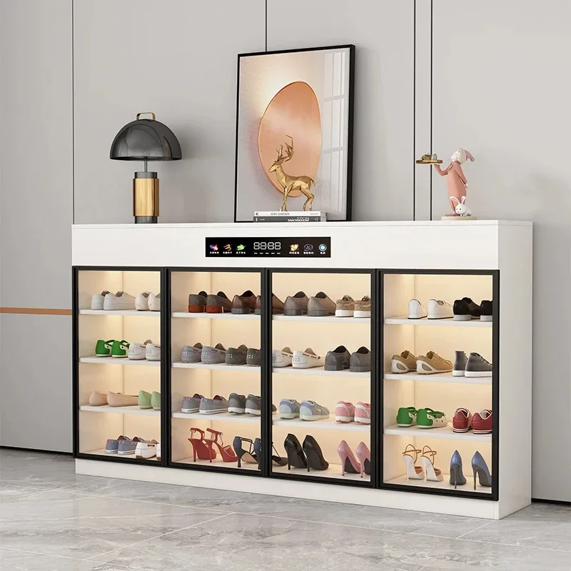Aesthetic Entryway Shoe Rack Adjustable Dust Proof Narrow Vertical Shoe Rack Dressing Luxury Gabinete Living Room Decoration