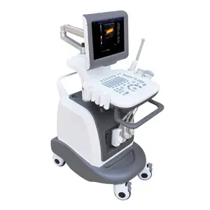 2D 15inch Full Digital Color Doppler Trolley Ultrasound Diagnostic Machine