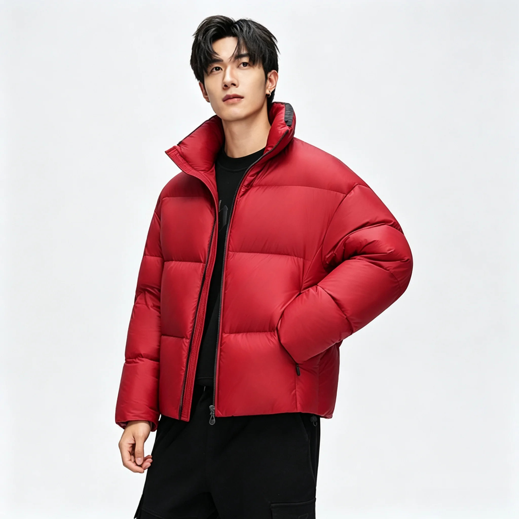 High-end Men's Winter Thickened Duck Down Stand Collar Down Jacket Casual Fashion Winter Cold-proof Warm Jacket Menswear Loose